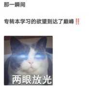 为什么我备考五年制专转本喜欢拖延？报辅导班能不能解决问题？