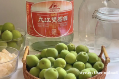 青梅时节：九江双蒸浸泡酒的时光艺术