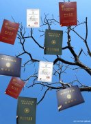 电子科技大学信息管理与信息系统自考本科助学招生简章
