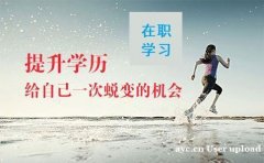 佳木斯大学自考健康服务与管理专业专升本学历招生简章