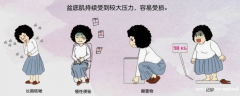 女性健康的“隐秘守护者”：如何科学应对盆底功能障碍？