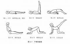 产后盆底肌恢复：科学管理助力妈妈健康​​