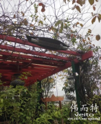 南方湿冷暴击？伟而特红外取暖器让户外花园四季不打烊
