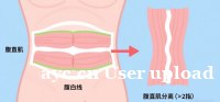 告别大肚腩与腰酸：科学修复腹直肌，重塑产后平坦小腹