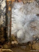 深圳市政供水管道漏水检测抢修施工