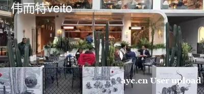 伟而特红外取暖器:点亮成都餐饮的冬日温馨时光 伟而特红外取暖器:点亮成都餐饮的冬日温馨时光