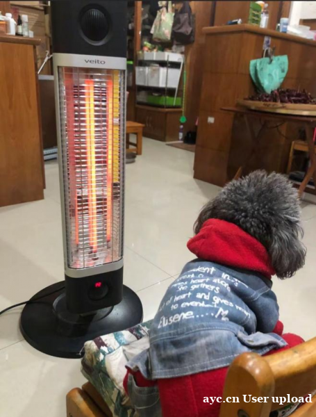 养宠家庭,冬季取暖设备有哪些安全隐患?如何做到“人宠共暖”又 养宠家庭,冬季取暖设备有哪些安全隐患?如何做到“人宠共暖”又