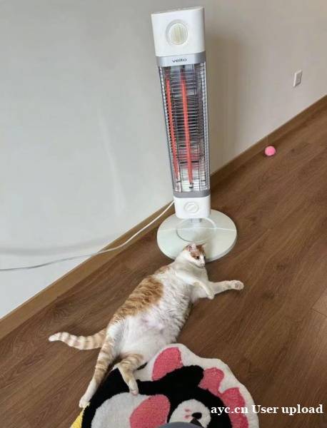 养宠家庭,冬季取暖设备有哪些安全隐患?如何做到“人宠共暖”又 养宠家庭,冬季取暖设备有哪些安全隐患?如何做到“人宠共暖”又