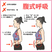 产后妈妈必存！盆底肌问题分型修复宝典​