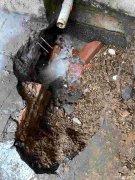 深圳地下管道漏水精准测漏,第三方正规漏水检测公司 深圳地下管道漏水精准测漏,第三方正规漏水检测公司