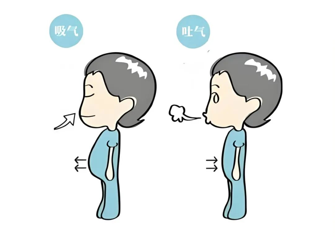 产后恢复新选择:腹式呼吸助你重拾健康与自信 产后恢复新选择:腹式呼吸助你重拾健康与自信