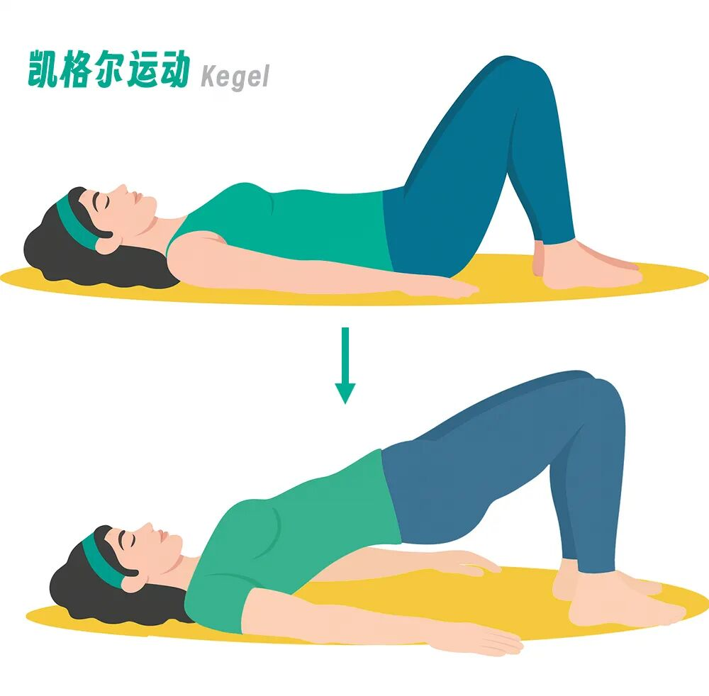 女性必练!强化盆底肌的完整指南,告别小腹凸出和臀部下垂 女性必练!强化盆底肌的完整指南,告别小腹凸出和臀部下垂