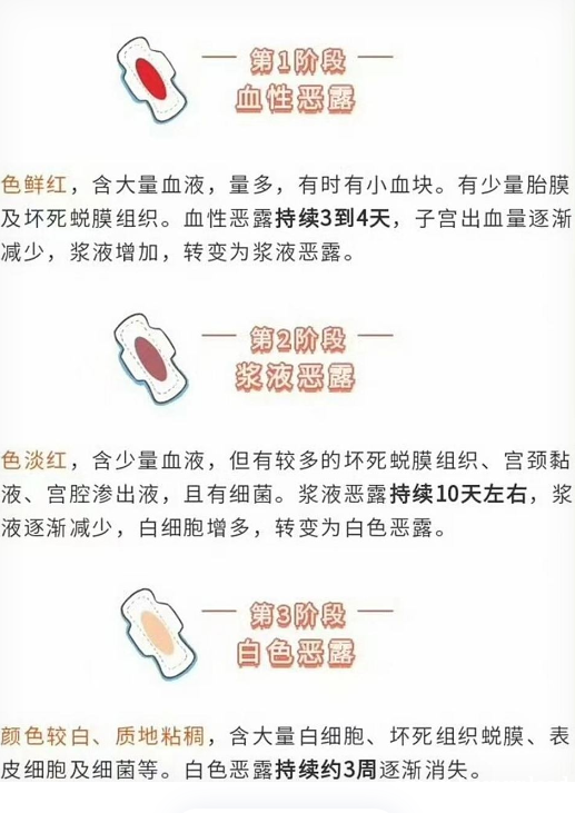 产后子宫恢复关键:加速复旧的实用指南 产后子宫恢复关键:加速复旧的实用指南