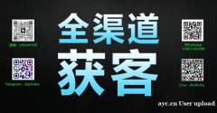 数字化时代的全球获客新格局：驱动企业成长的新引擎