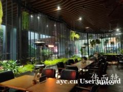 成都餐厅的温暖秘籍：伟而特红外取暖，高效应对湿冷挑战