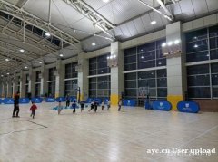 高大空间取暖新解法:伟而特红外供暖,让体育馆温暖如春 高大空间取暖新解法:伟而特红外供暖,让体育馆温暖如春