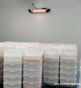 伟而特红外：食品厂的温暖守护者