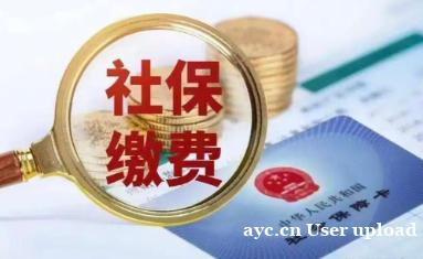 广州社保补缴不用慌 专业规划师帮你高效补缴保权益 广州社保补缴不用慌 专业规划师帮你高效补缴保权益