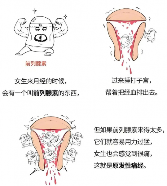 痛经是子宫的“过度保护”?科学解读与温柔解决方案 痛经是子宫的“过度保护”?科学解读与温柔解决方案