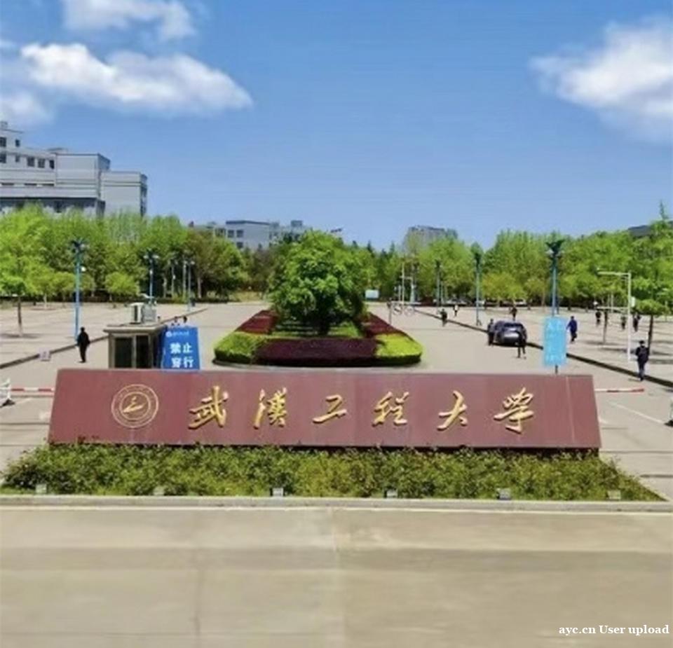 武汉工程大学自考专科动漫设计专业考试简单毕业时间快 武汉工程大学自考专科动漫设计专业考试简单毕业时间快