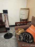 养宠家庭注意！别让你家毛孩子再烤出“皮肤病”，这款取暖器0风