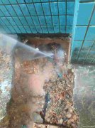 东莞管道CCTV机器人检测，水管超声波漏水检测