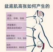 盆底肌修复，你可能从第一步就练反了