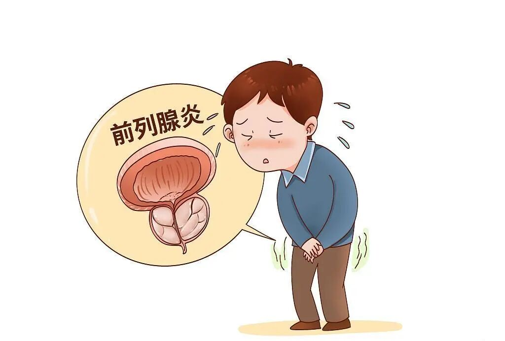 护好男性“生命腺”,盆底康复助力前列腺炎科学养护 护好男性“生命腺”,盆底康复助力前列腺炎科学养护