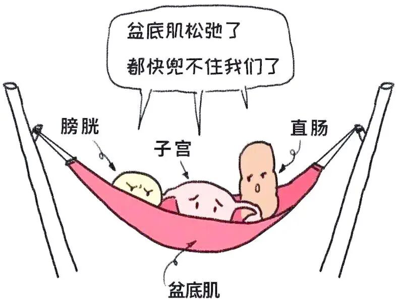 比产后更伤盆底的,是职场日复一日的久坐 比产后更伤盆底的,是职场日复一日的久坐